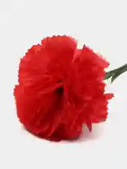 Цветы искусственные "Гвоздика"