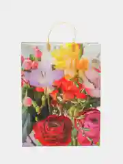 Пакет мягкий пластик 420*320*100(набор из 2 шт)