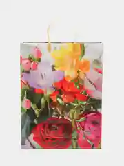 Пакет мягкий пластик 420*320*100(набор из 2 шт)