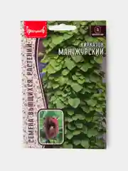 Семена Кирказон Маньчжурский