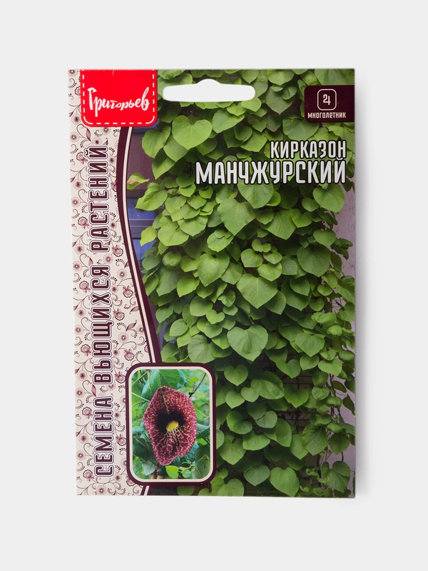 Семена Кирказон Маньчжурский