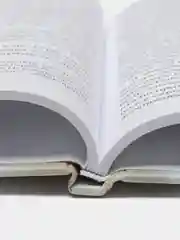 Личное оружие самообороны