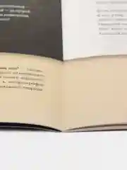 Двенадцать.Поэма.Подробный иллюстрированный комментарий. Блок А.А