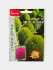 Семена Кохия Волосолистная Летний Кипарис