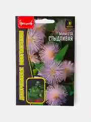 Семена Мимоза Стыдливая