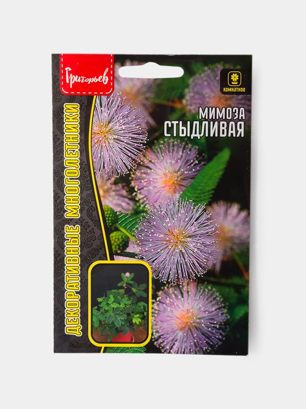 Семена Мимоза Стыдливая