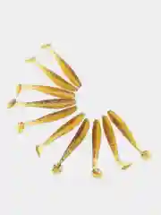 Белый силиконовые Виброхвосты Pike для Ловли Хищника, Набор 10 шт., 5,5, 6,5 см