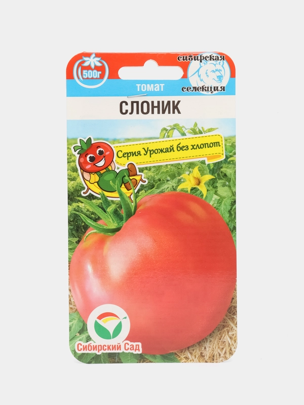 Томат Слоник (семена)