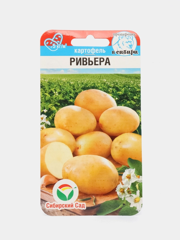 Картофель Ривьера (семена)