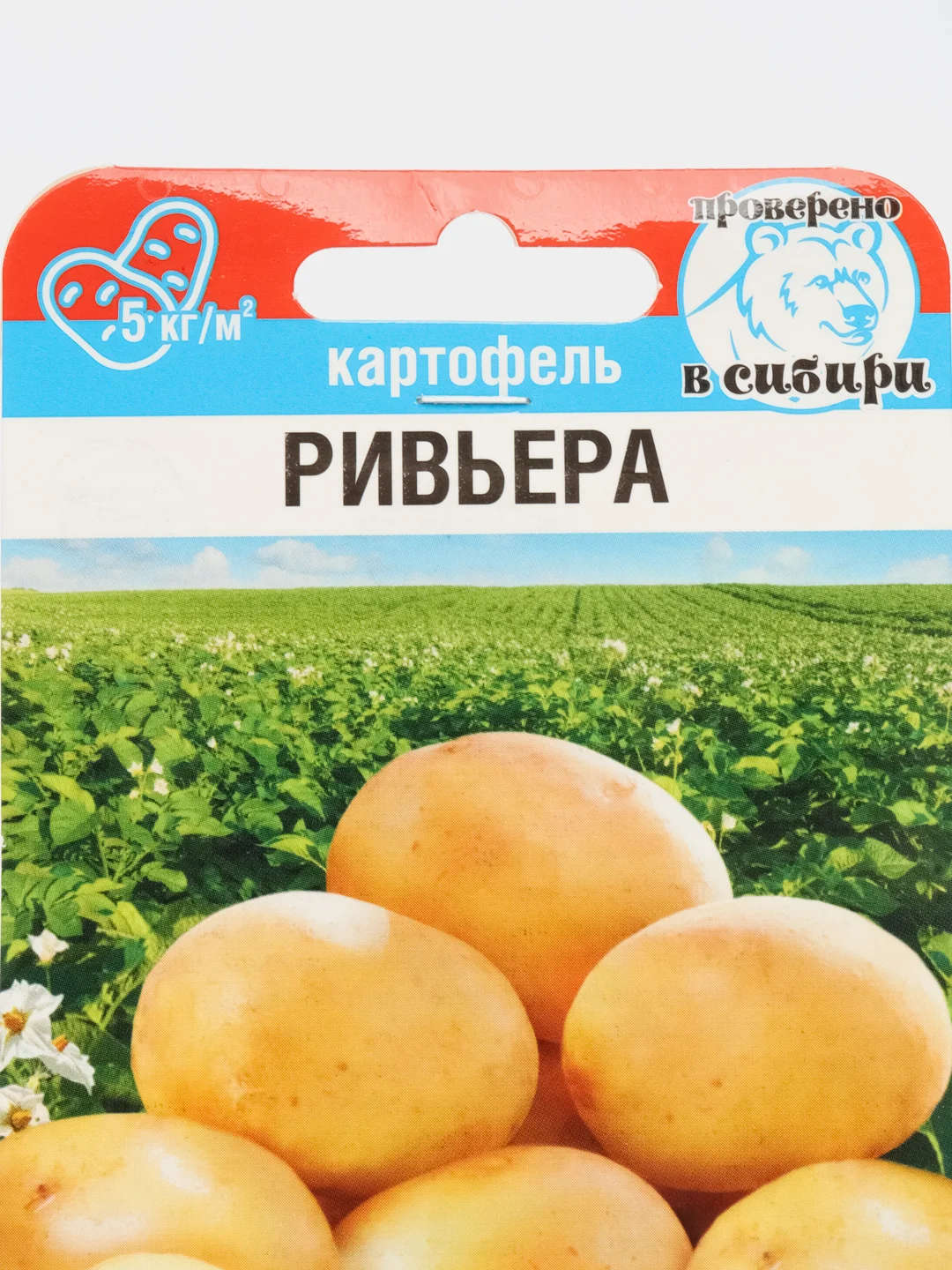 Картофель Ривьера (семена)