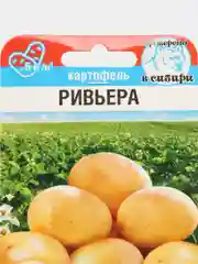 Картофель Ривьера (семена)
