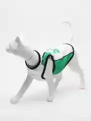 Зеленый майка для собак и кошек, спортивная