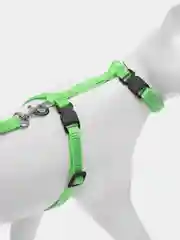 Зеленый шлейка с поводком для кошки