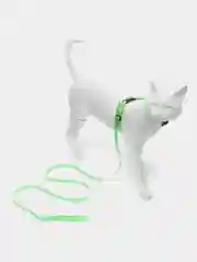 Зеленый шлейка с поводком для кошки