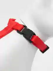 Красный шлейка с поводком для кошки