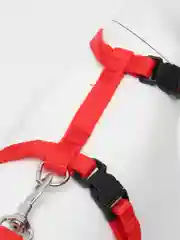Красный шлейка с поводком для кошки