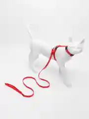 Красный шлейка с поводком для кошки