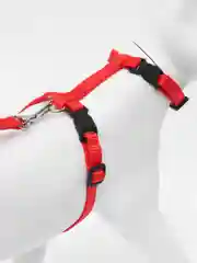 Красный шлейка с поводком для кошки