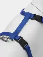 Синий шлейка с поводком для кошки