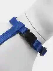 Синий шлейка с поводком для кошки