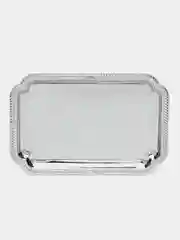 Поднос для кухни "Металлический", 15х22см