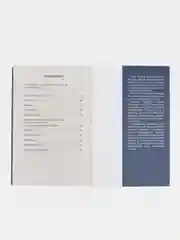 Стихотворения и поэмы о русской истории. Лермонтов М.Ю