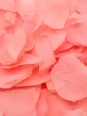 Коралловый меланж искусственные, шелковые лепестки роз, свадебное украшение, 200 штуки 150 шт