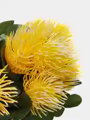 Желтый ежики искусственные пышные