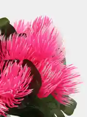 Розовый ежики искусственные пышные