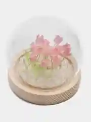 Розовый ночник светодиодный с тюльпанами ( USB кабель)
