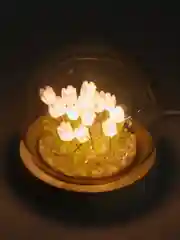 Фиолетовый ночник светодиодный с тюльпанами ( USB кабель)