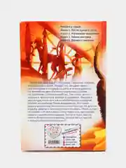 Тайная лестница (выпуск 3), Холли Вебб