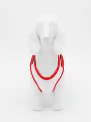 Красный майка для собак и кошек, спортивная