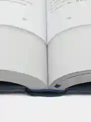Евгений Онегин. Пропущенные строфы. Другие редакции и варианты. Пушкин А.С