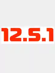 Белый наклейка на авто / машину / стекло "12.5.1", 25 х 6см