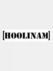 Наклейка на авто / машину / стекло "HOOLINAM" 25х5см