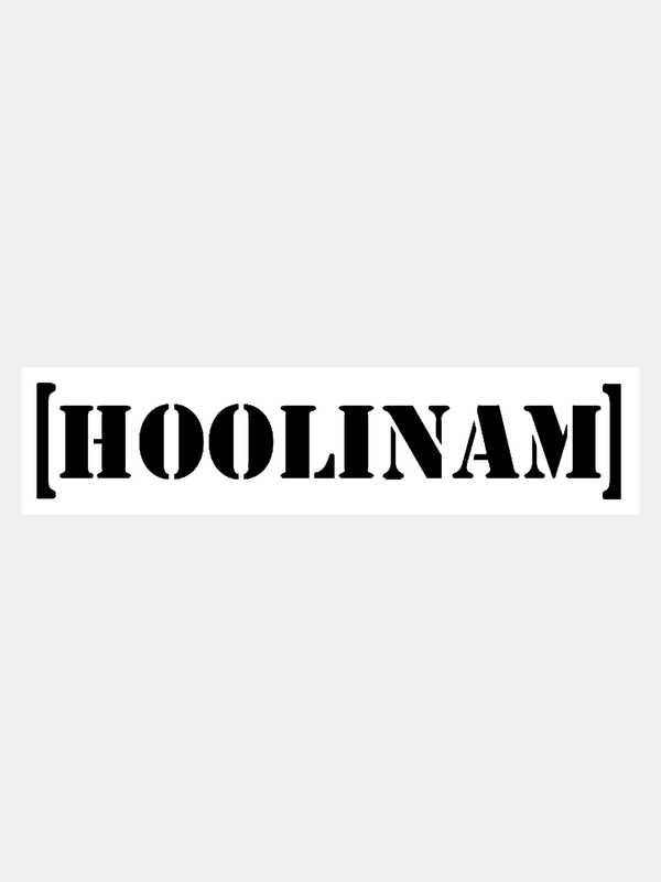 Наклейка на авто / машину / стекло "HOOLINAM" 25х5см