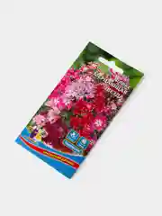 Семена Цветов Флокс Мерцающая Звезда