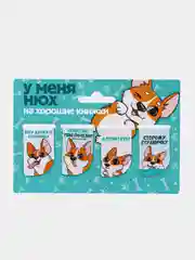 Бирюзовый набор магнитных закладок 4 штуки на подложке