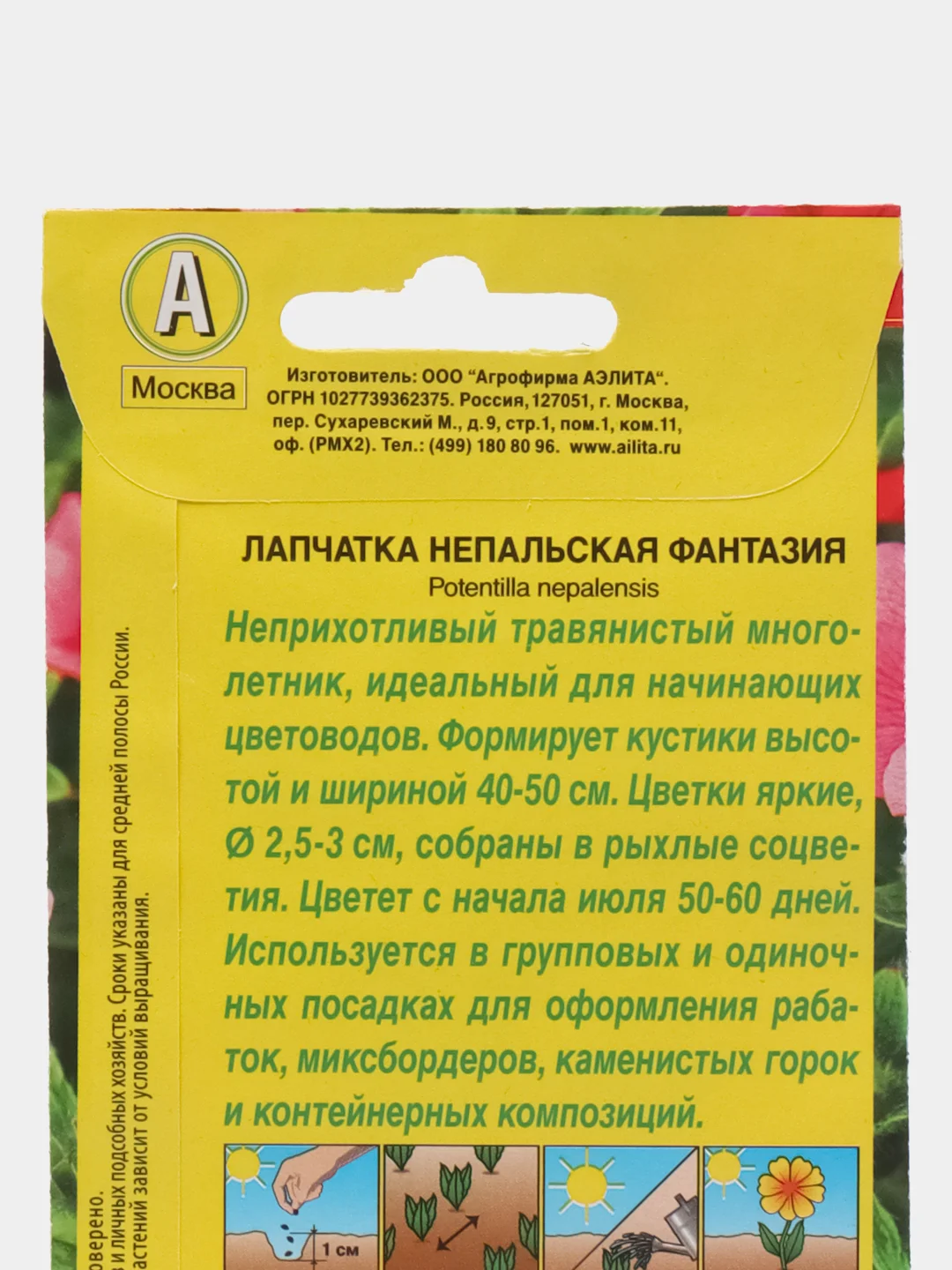 Семена цветы "Лапчатка непальская Фантазия"