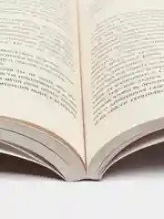 Морфий. 1000+ книг, которые нужно прочесть