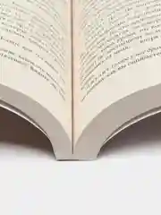 Господин из Сан-Франциско. 1000+ книг, которые нужно прочесть