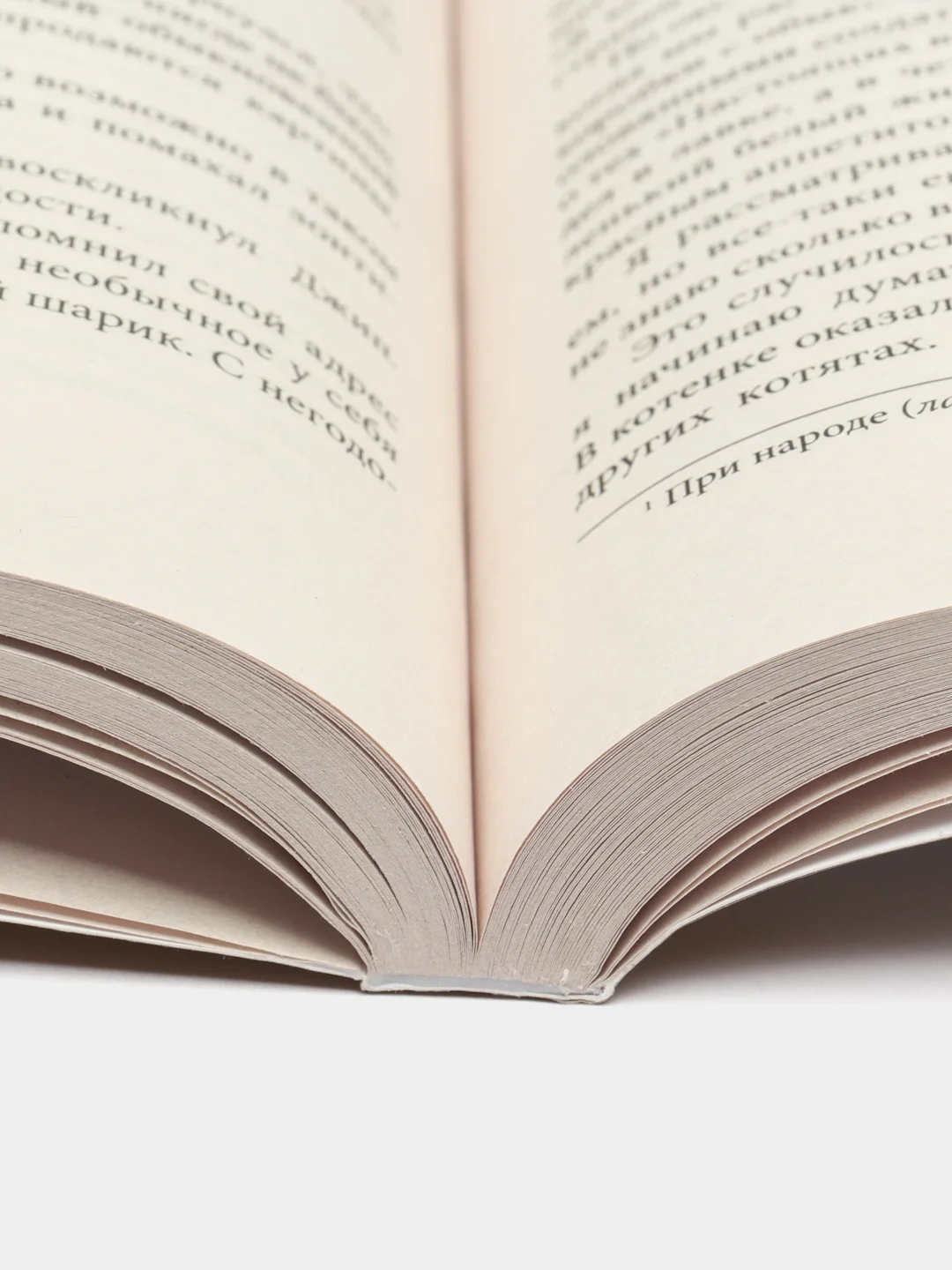 Пышка.1000+ книг, которые нужно прочесть