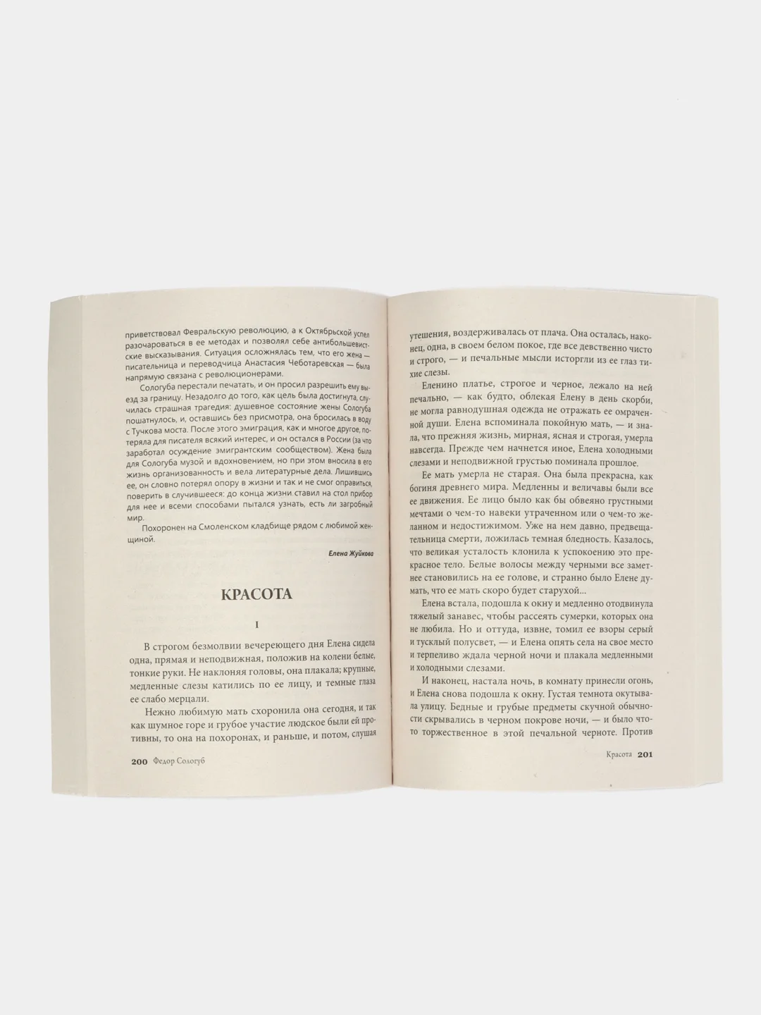 Рассказ о семи повешенных.1000+ книг, которые нужно прочесть. Андреев Л.Н., Тютчев В.И