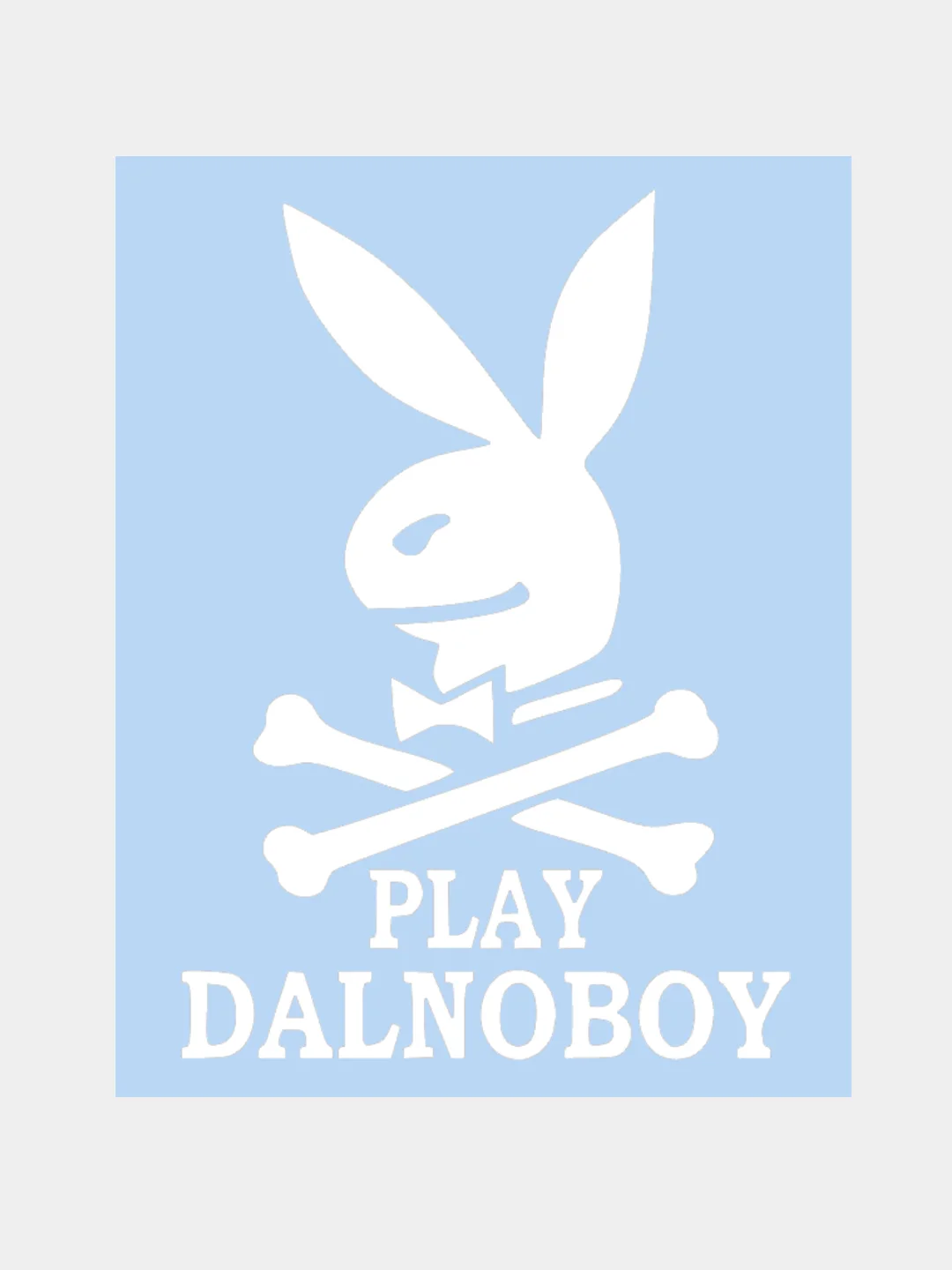Белый наклейка на авто / машину / стекло "PLAY DALNOBOY" 20х14см