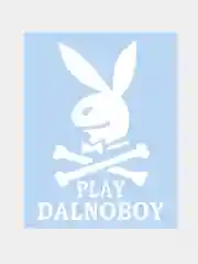 Белый наклейка на авто / машину / стекло "PLAY DALNOBOY" 20х14см