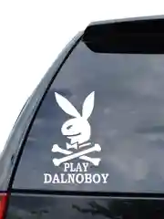 Белый наклейка на авто / машину / стекло "PLAY DALNOBOY" 20х14см