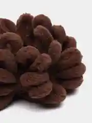 Тёмно-коричневый резинка для волос, крупная, эластичная, лапша, браслет, шишка, флисовая резинка