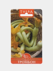 Семена,Тыква тромбон,5 шт