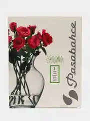 Коралловый ваза для небольших букетов, стекло